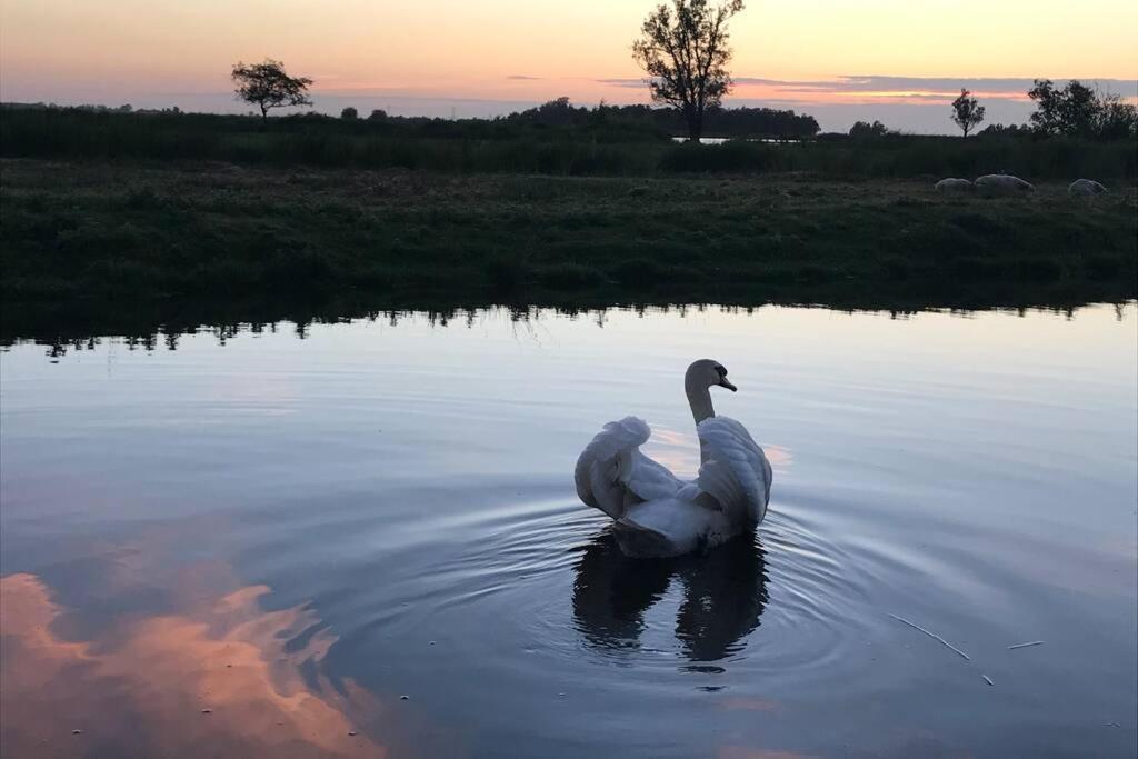 Romantic Dutch Hideaway Jisp Екстериор снимка